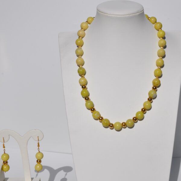 Jasper Doğal Taş Kolye ve Küpe Seti